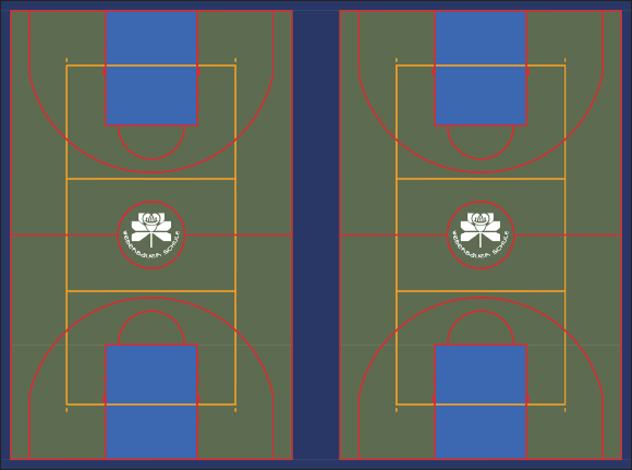 VersaCourt Multisport Court in Olive, Navy Blue, and Royal Blue